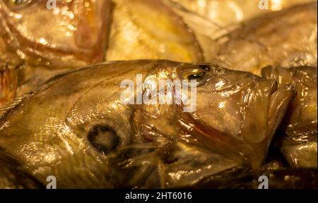 freshly caught groupers Stock Photo