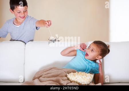 Gotcha. Mischievous young boy scaring his little sister at Halloween with a rubber spider. Stock Photo