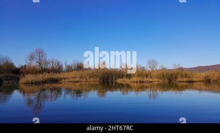 A mesmerizing shot of a lake in a forest during the day Stock Photo
