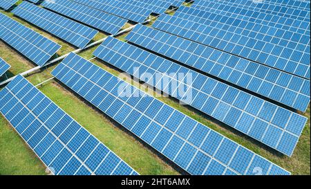 Aerial shot of solar panels farm on the green field. Renewable alternative green energy concept. Stock Photo