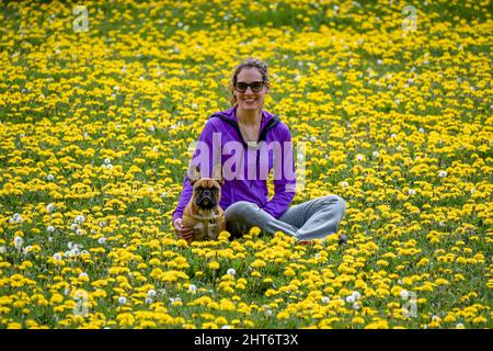 Young woman with her dog sitting in the beautiful field with yellow flowers. Stock Photo