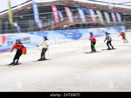 (220227) -- CHENGDU, Feb. 27, 2022 (Xinhua) -- Members of the 'Dieyun' ski team practice in a training session at a dry ski training facility in Xindu District of Chengdu, southwest China's Sichuan Province, Feb. 25, 2022. When seeing the boys and girls skiing down the slope, no one will realize they are anything different from other ski-loving youngsters until noticing their coach communicating with them mainly through writing and gesturing.   All of the 15 members of this ski team are students from the special education school in Xindu District of Chengdu, capital city of southwest China's S Stock Photo