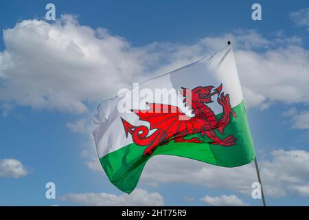 welsh flag blowing  in the  wind St Davids Day  wales Stock Photo