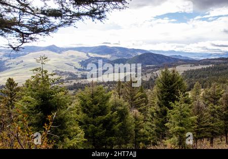 North Eastern part of Yellowstone National Park in the Lamar Valley, Wyoming, horizontal Stock Photo