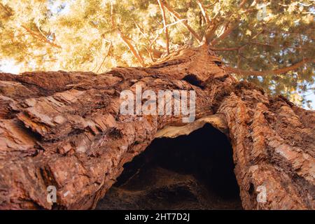 Autumnal landscape from Yosemite National Park, California, United States. High quality photo Stock Photo