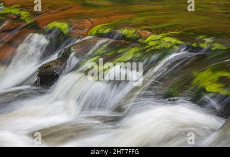 fast flowing rivers tumbling over the rocks at Watersmeet in Devon, England, UK on a bright summers day. Part of Exmoor National Park. Stock Photo