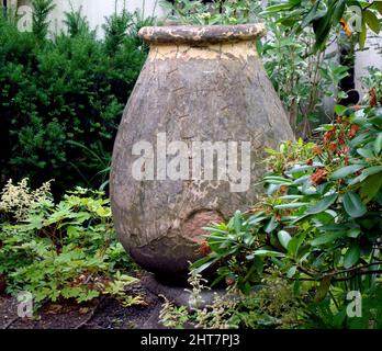 Old cracked pitcher in the garden surrounded with green plants in spring Stock Photo