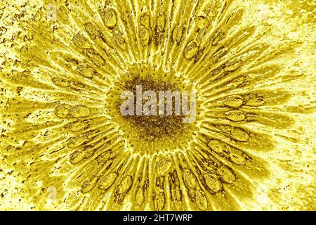Pop Art Surreal Style Golden Chocolate Bar for Abstract Backdrop Stock ...