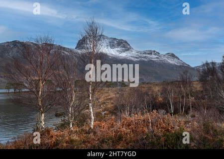 SLIOCH MOUNTAIN LOCH MAREE KINLOCHEWE SCOTLAND SILVER BIRCH TREES Betula pendula THE MUNRO WITH FRESH SNOW Stock Photo