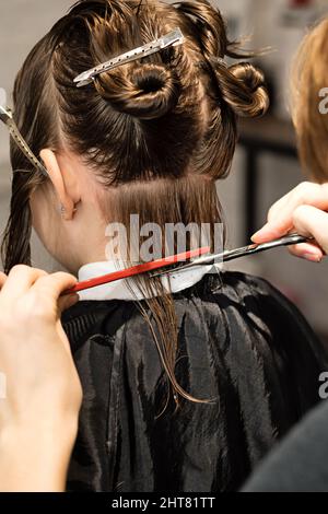 Rear view of hand of hairdresser doing haircut of child with hair clips on her hair in hair salon. Hairtician. Back view. Hairdressing Services. Modern Children Haircut Stock Photo