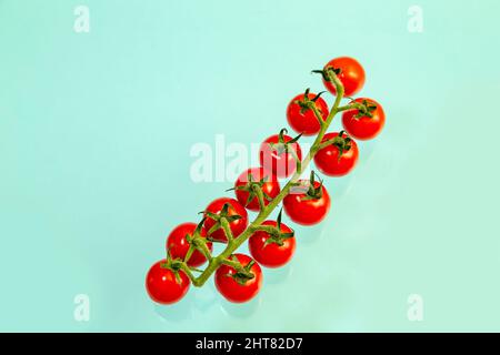 Branch of juicy red cherry tomatoes on a light blue background. Food background. Stock Photo