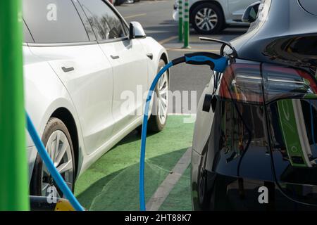 2.26.2022 - Dubai, UAE - Tesla Electric vehicle only charging station sign for environmentally friendly vehicles in parking lot in middle east. Stock Photo