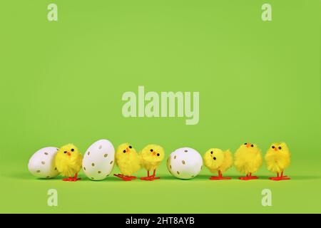 Small decorative easter chickens and eggs in a row on green background Stock Photo