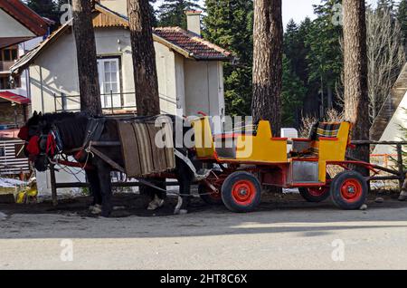 Old traditional carriage  with horse waiting clients, Borovets resort, Rila Mountain, Bulgaria Stock Photo