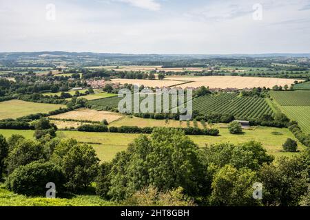 Fields of pasture, crops and soft fruit orchards form the agricultural landscape around Norton-sub-Hamdon village in South Somerset, as seen from Ham Stock Photo