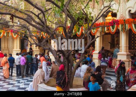 Pilgrims in Krishna Balaram Mandir(Iskcon temple), Vrindavan, Mathura District, Uttar Pradesh, India Stock Photo