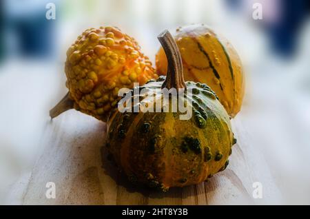 Closeup of pumpkins on a wooden table in the full light coming from the side Stock Photo