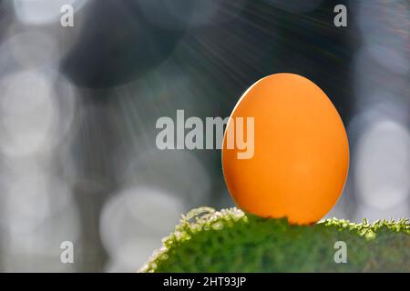 1 orange Easter egg in the wild. Organic product on mossy tree stump in forest. Bright sun rays in depth blur.