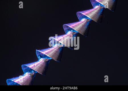 Closeup of aluminum spirals reflecting a pink light on a black background Stock Photo