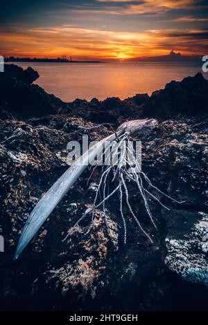 Vertical shot of the sunrise at Santo Domingo, Dominican Republic Stock Photo