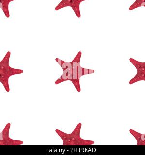 Dried red sea star fish pattern on white background close up. Top view, minimal flat lay style. Seamless Banner or poster. Stock Photo