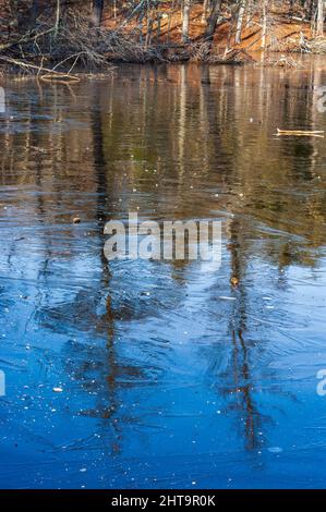 Reflections of trees on a frozen pond surface with ice crystals. Echo Pond, Rocky Woods, Medfield, Massachusetts, USA Stock Photo