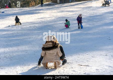 A back shot of two girls riding a wooden sled down sledding hill on a sunny winter day Stock Photo