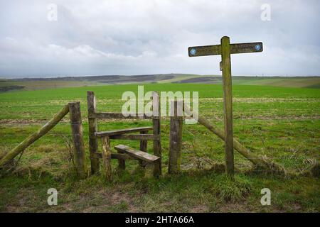 South Downs Way fingerpost next to a footpath stile crossing a fence into a grass meadow under an overcast cloudy sky. Stock Photo