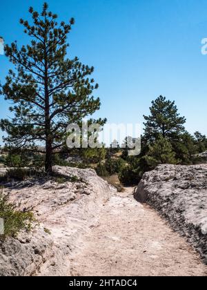 Wagon ruts left from the wagons going west on the Oregon trail found near Guernesy, WY Stock Photo