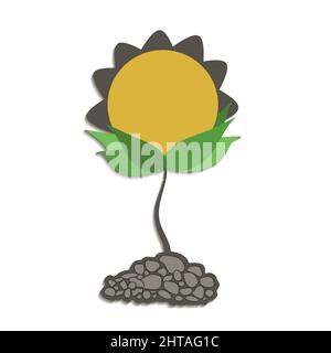 Sunflower growing seedlings plant, isolated on white background vector Stock Vector