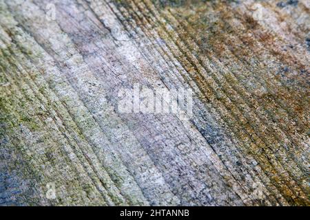 Old Abstract Weathered Grunge Wood Pattern Texture Background Plank Panels. High quality photo Stock Photo