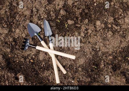 Gardening concept. caring for seedlings in the spring and preparation for transplantation.Tools in soil surface . Copy space, top view. Agricultural Stock Photo