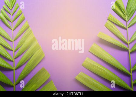 Good Friday, Palm Sunday, Ash Wednesday, Lent Season and Holy Week concept. Palm leaves on purple background with lights shape of cross.. Stock Photo