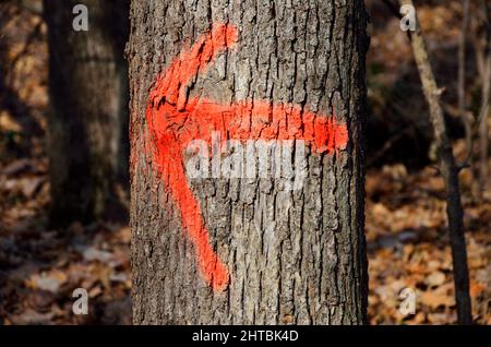 Red Arrow Tree Red arrow pointing left on a white background Stock Photo - Alamy