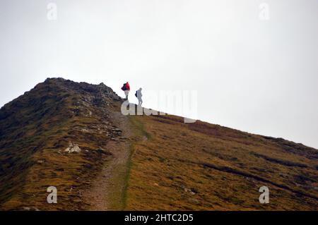 Two Men Walking on the Ridge Path from the Summit of the Wainwright 'Hopegill Head' in the Lake District National Park, Cumbria, England, UK. Stock Photo