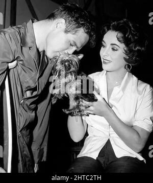 PAUL NEWMAN and ELIZABETH TAYLOR in CAT ON A HOT TIN ROOF (1958), directed by RICHARD BROOKS. Credit: M.G.M. / Album Stock Photo