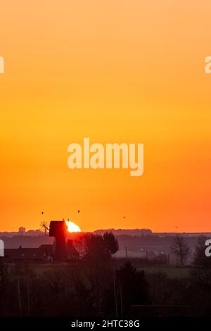 Sunrise in to a clear orange sky over a landscape of hedgerows and trees with a English windmill without sails, near the horizon. Stock Photo