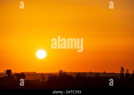 Sunrise in to a clear orange sky over a landscape of hedgerows and trees with a English windmill without sails, near the horizon. Stock Photo