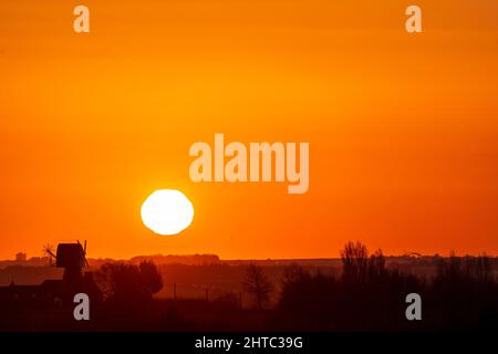 Sunrise in to a clear orange sky over a landscape of hedgerows and trees with a English windmill without sails, near the horizon. Stock Photo