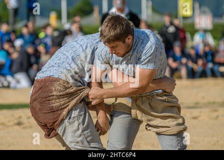 Close-up of a fight of Swiss wrestlers at the NOS 2012 in Silvaplana, Switzerland Stock Photo
