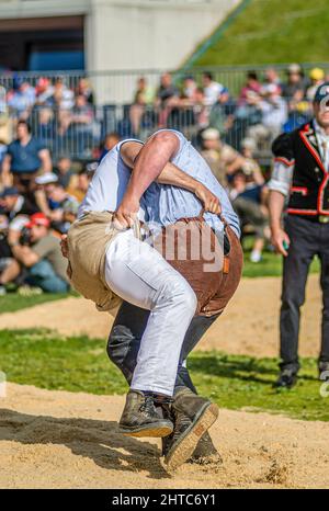 Swiss wrestlers fighting at the NOS 2012 in Silvaplana, Switzerland Stock Photo