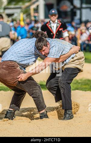 Close-up of a fight of Swiss wrestlers at the NOS 2012 in Silvaplana, Switzerland Stock Photo