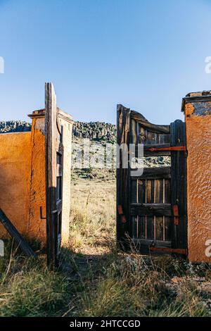 Weathered wooden gate dilapidated wall with tall grass blue sky Stock Photo