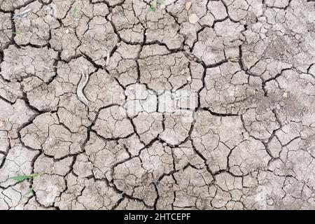 Global warming concept background, texture or pattern. Dry cracked earth with cracks in mud in a field Stock Photo