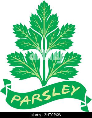 Green leaves. Vector illustration Stock Vector Image & Art - Alamy