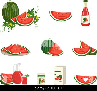 Set of red and green watermelon icons. Striped fruit with seeds, leaf and flower. Juice in bottle, pack, jug and glass, seeds for planting and harvesting. Sweet food for diet. Vector flat illustration Stock Vector