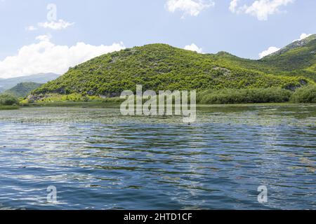 Calm Shkodra Lake and the surronding green hills in Virpazar, Montenegro Stock Photo