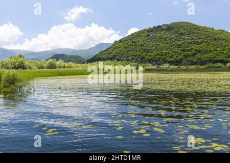 Calm Shkodra Lake and the surronding green hills in Virpazar, Montenegro Stock Photo