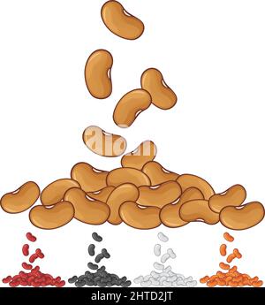 Different types of beans vector illustration Stock Vector
