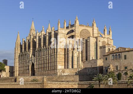 Vertical shot of Mallorca Cathedral against a blue sky on a sunny day, Palma, Spain Stock Photo